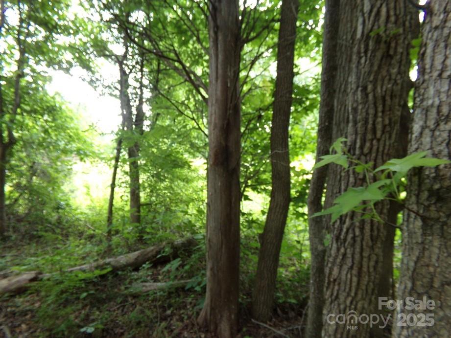 1.5 Ac Pinckney Road