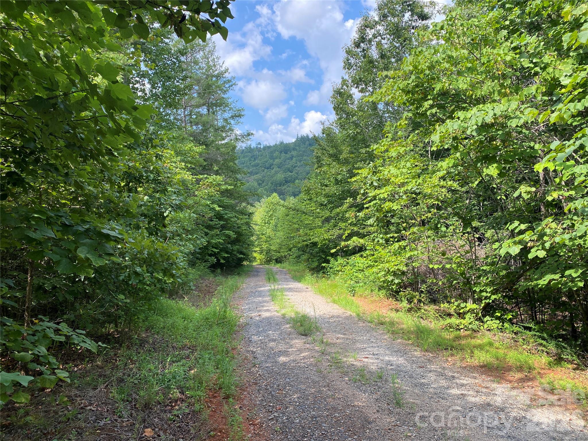 0 Camp McCall Road