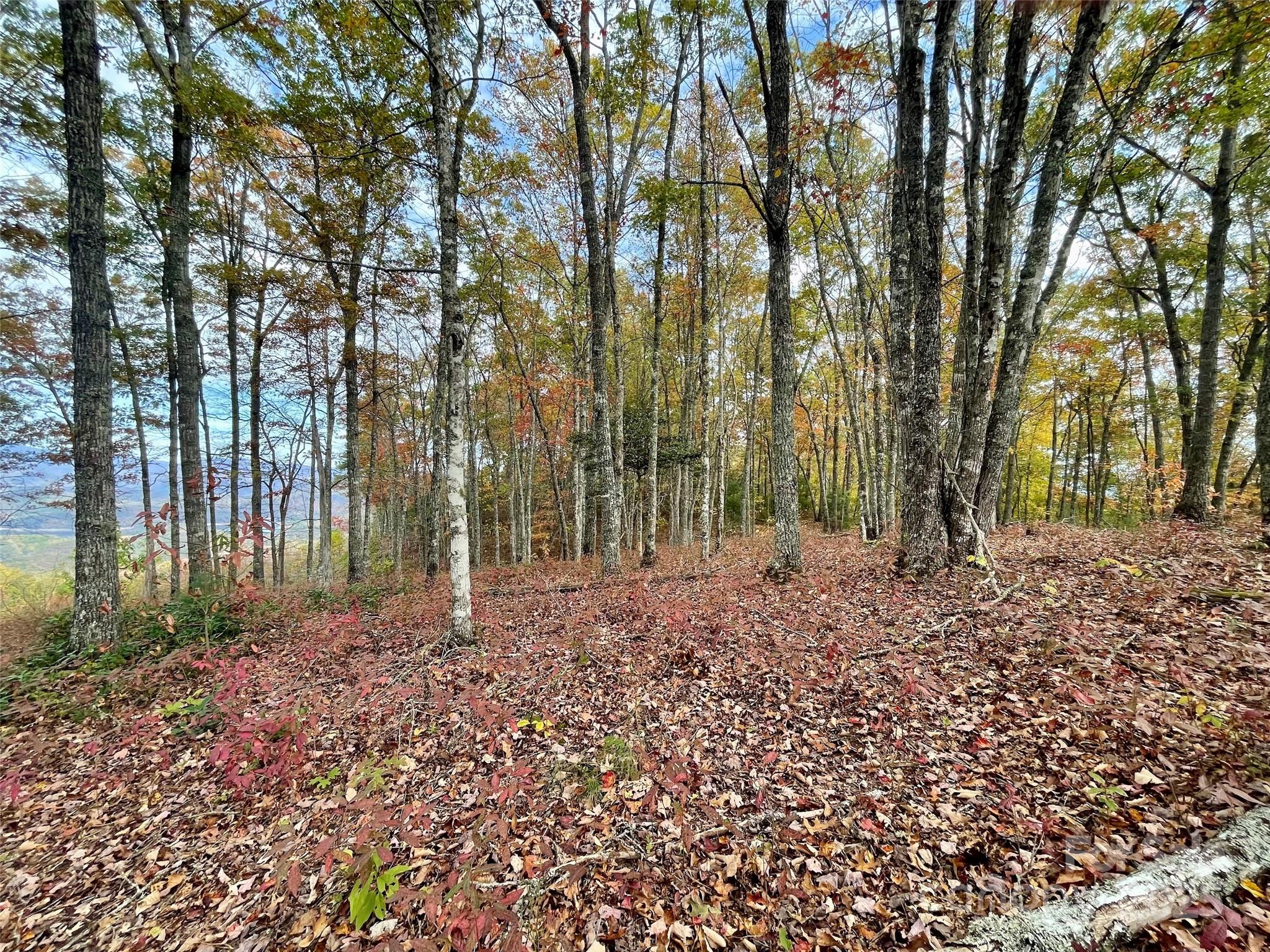 Lot Rocky Ridge Road 8