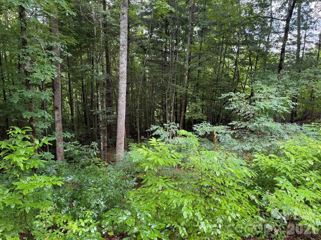 Garnet Ridge Preserve - Land