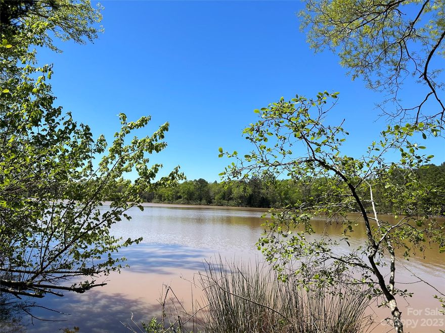 Come build your dream home with gorgeous lake views on City Pond! With shorelines running north and south, this should allow for incredible sunsets from your back porch. Over 1200 feet of paved road frontage with multiple home sites. Mature timber on the majority of the property that could provide initial income. Unique investment opportunity. Two rental homes in northeast corner that provide instant income or make them your own.