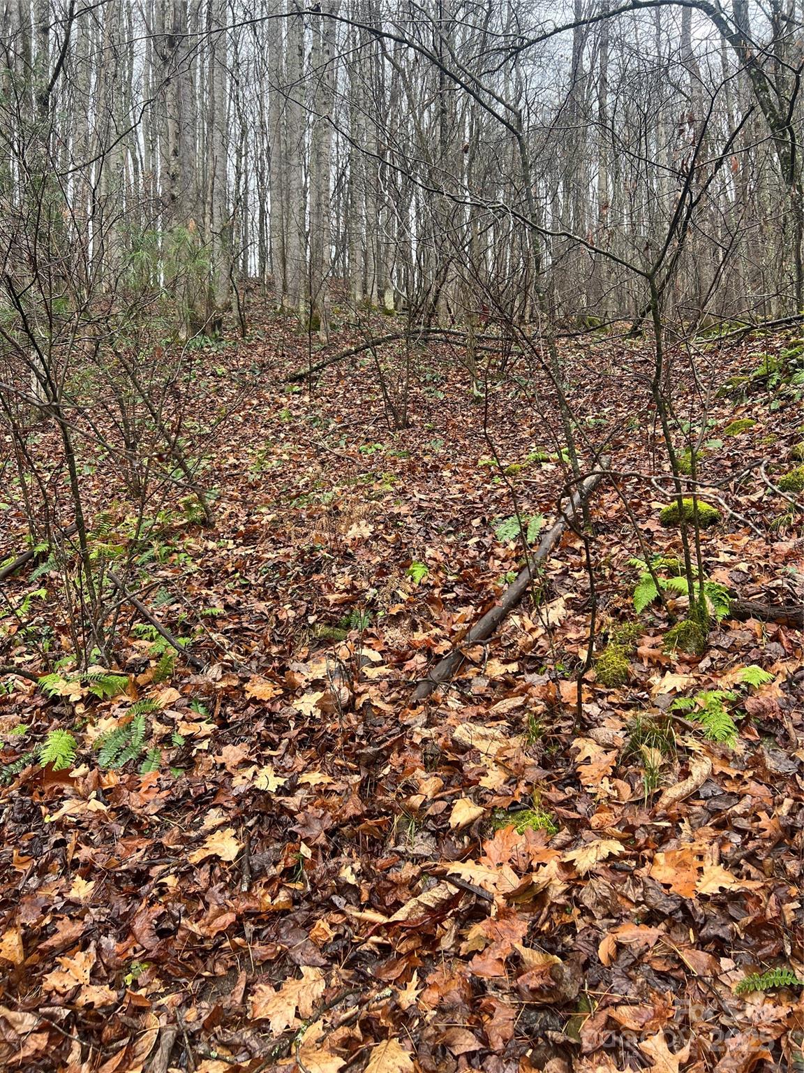 TBD Little Creek Road