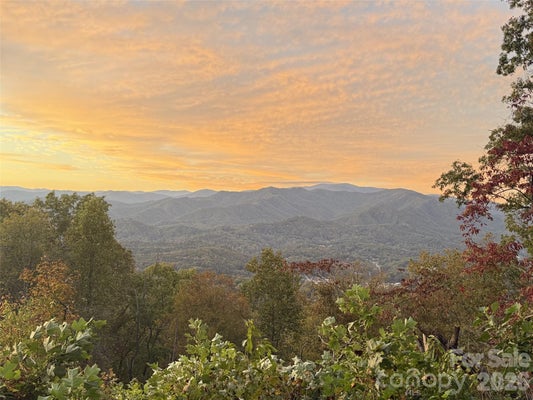 00 BREEDLOVE ROAD # 11, BRYSON CITY, NC 28713 - Image 0d628a9c6d1acfa92a7f251d65edca9f/3629168608