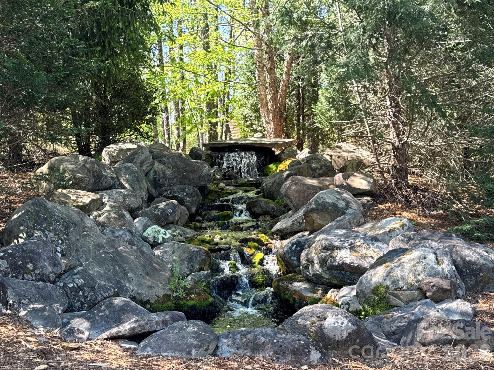 284 Bear Cliff Circle