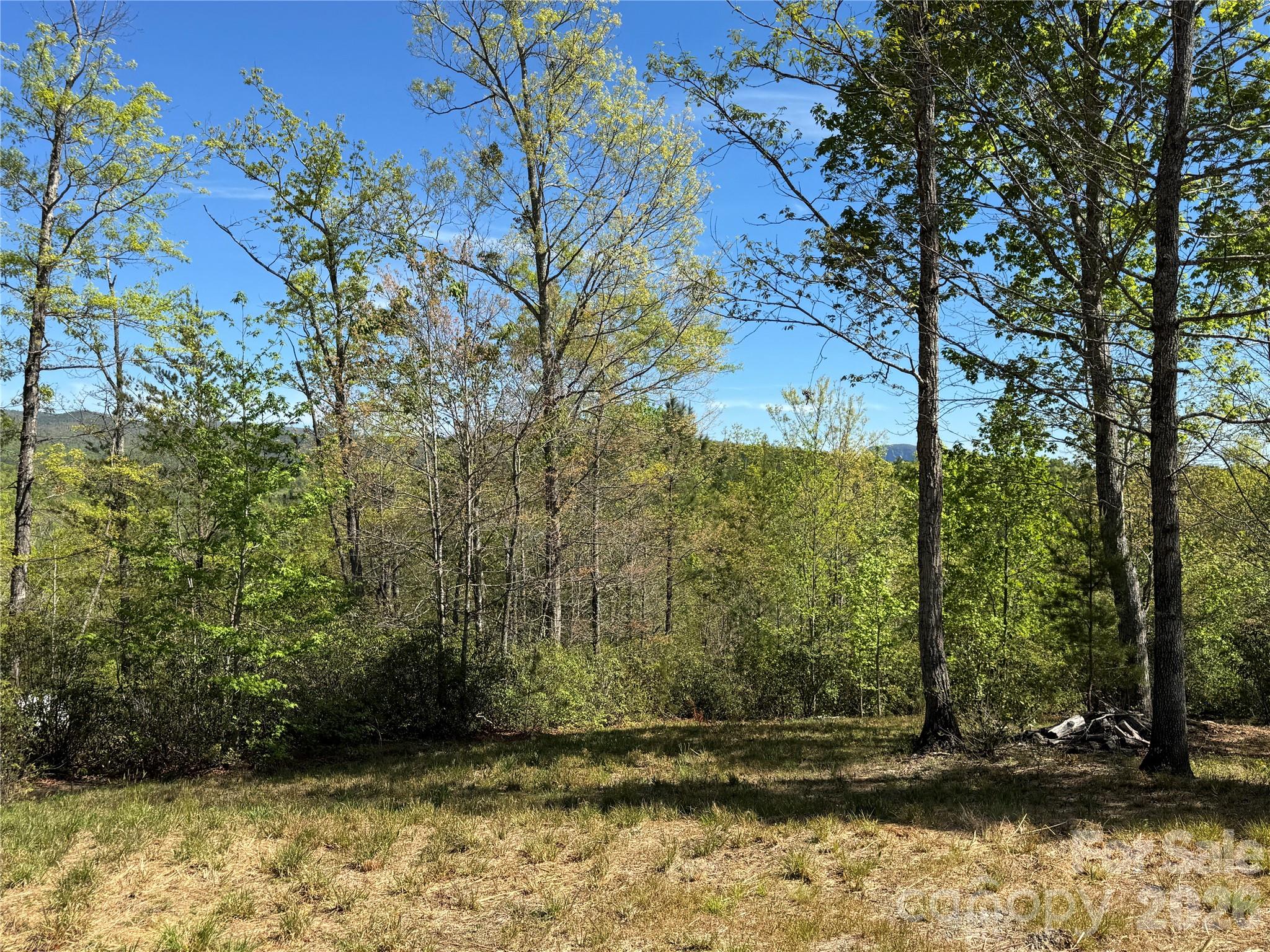 284 Bear Cliff Circle