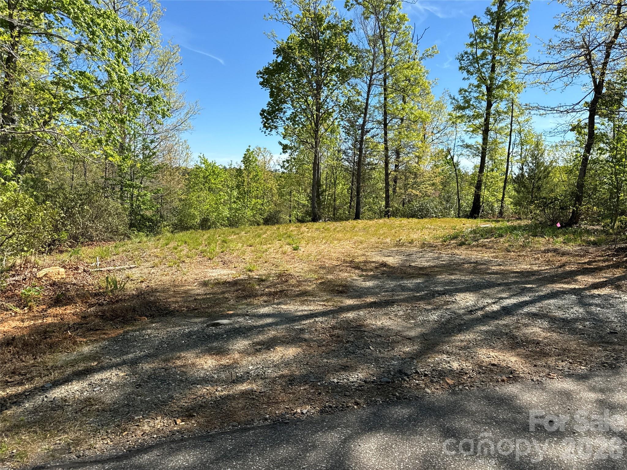 284 Bear Cliff Circle