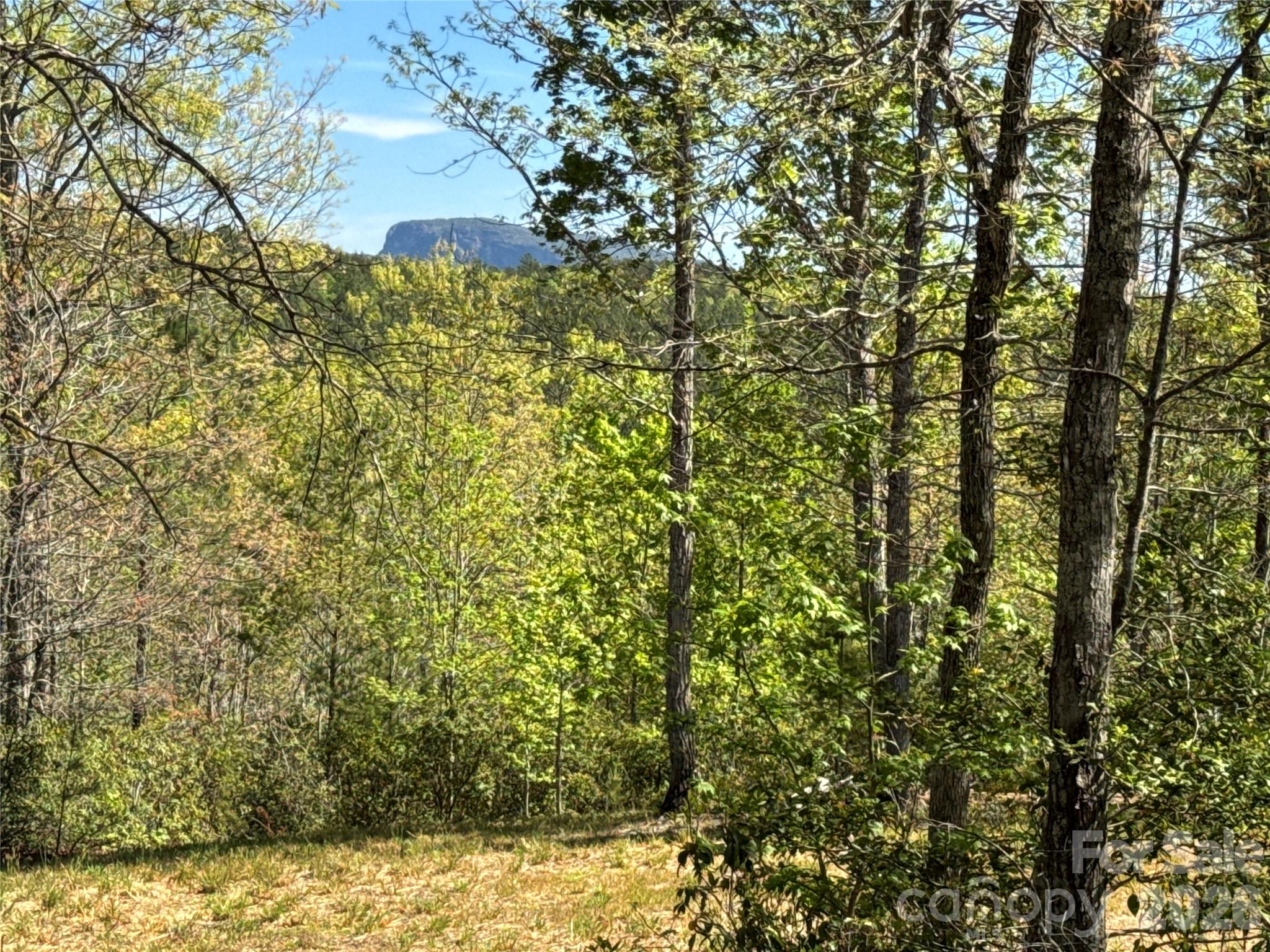 Bear Cliff - Land