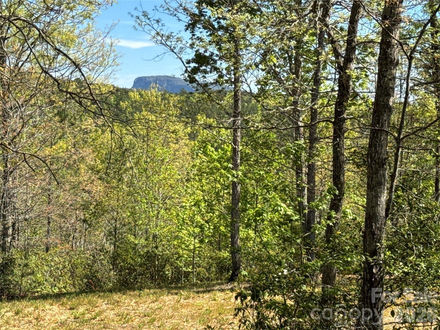 Beautiful building lot offering stunning views of Shortoff Mountain! Nestled on a private circle within Bear Cliff's gated community, this property is surrounded by some of the area's most stunning homes. Ideally located on the North side of Lake James, and just minutes from Bear Creek Marina & Restaurant. The property also boasts a portion of Dale's Creek flowing through the lower section, adding to its natural charm. With a 3BR septic permit already on file, this is an excellent opportunity to build your dream home!