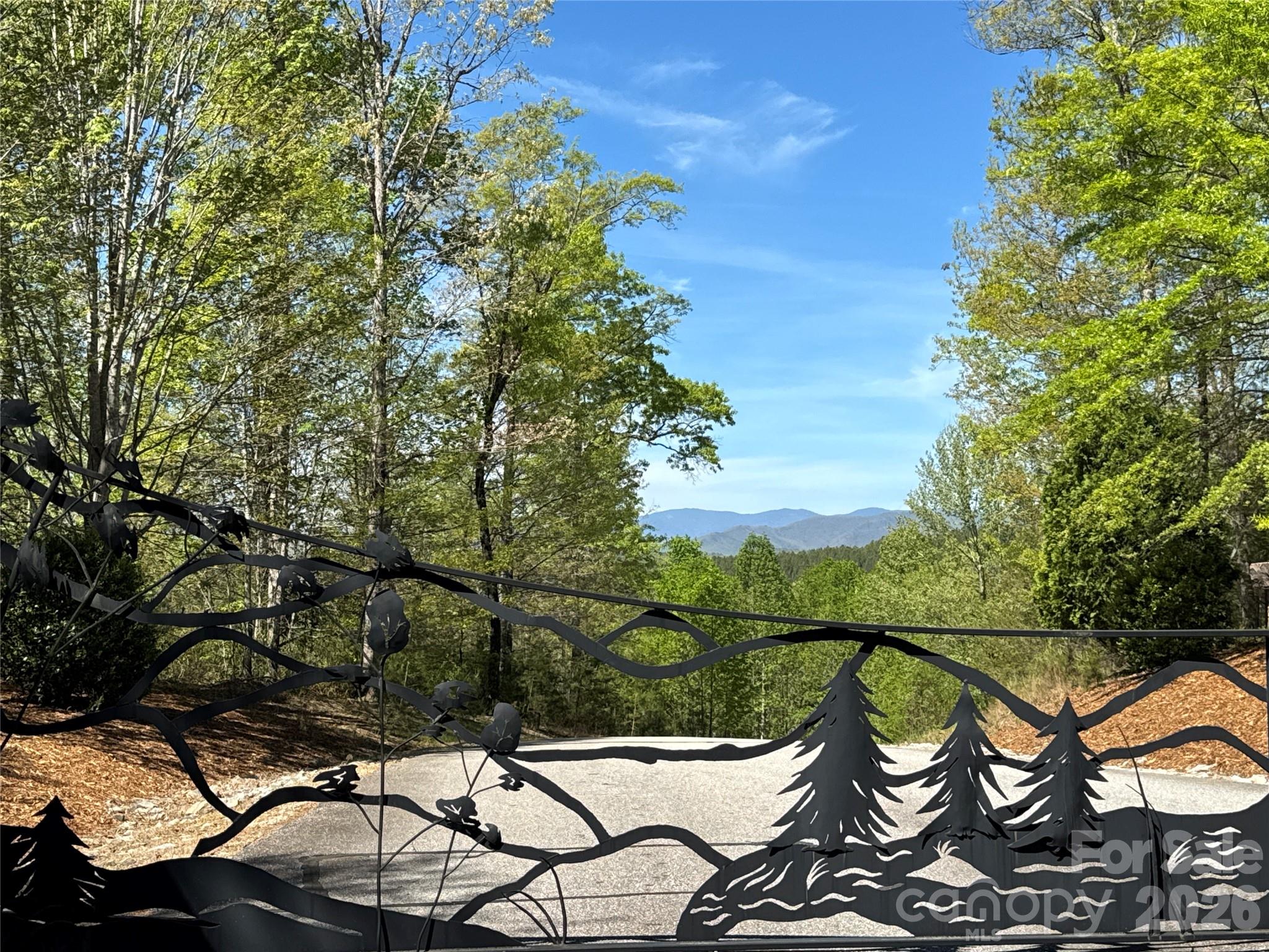 284 Bear Cliff Circle