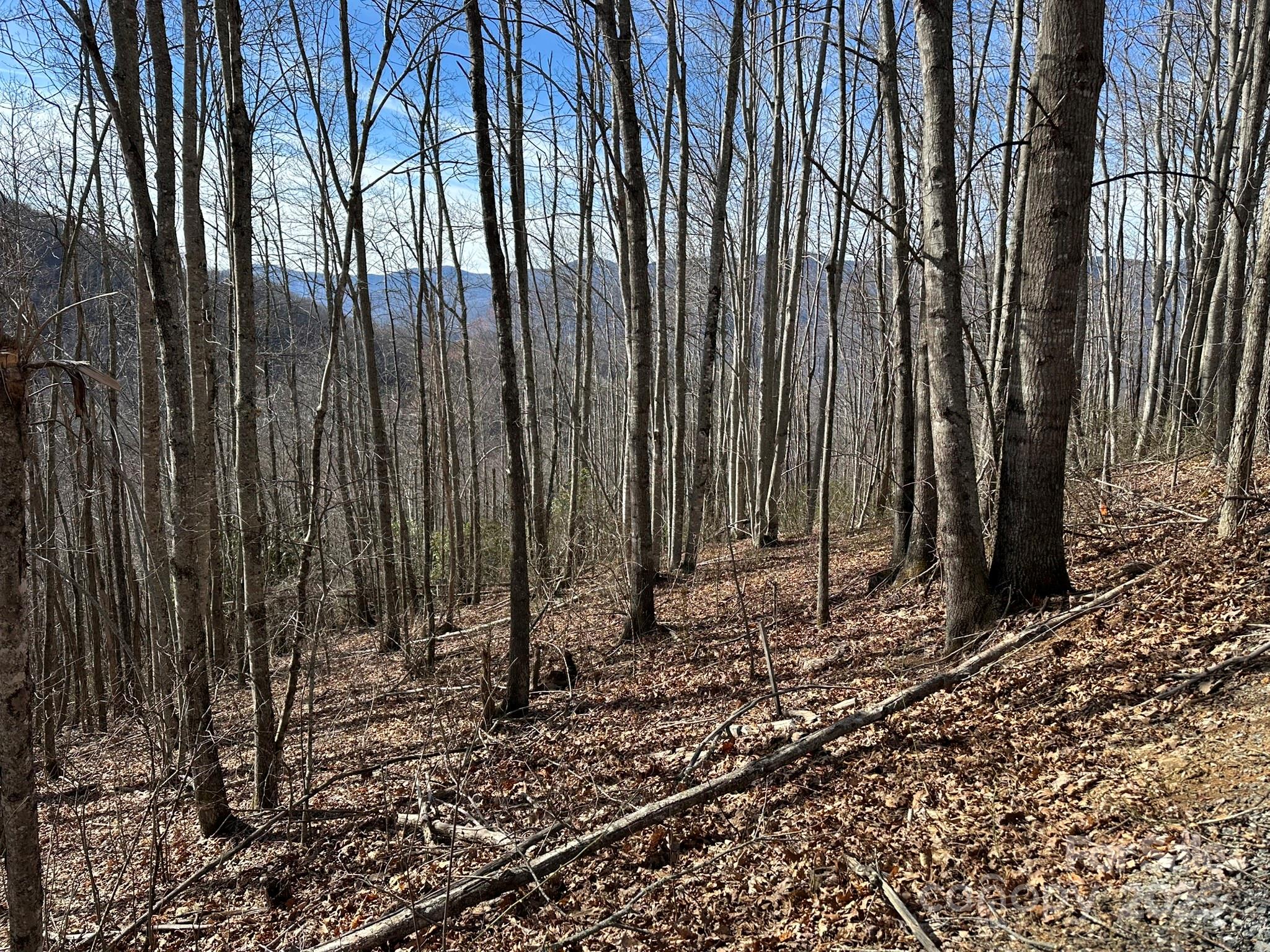 Balsam Mountain Preserve - Land