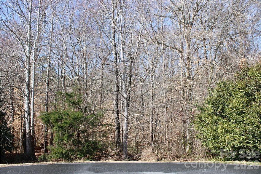 Nestled in a quiet, established neighborhood, this beautiful wooded lot offers a rare opportunity to build your dream home among mature trees and natural surroundings. As one of the last remaining undeveloped parcels in the community, it provides both privacy and a sense of exclusivity. The gently sloping terrain is ideal for a variety of home designs, while the existing tree canopy offers shade, character, and a peaceful setting. Enjoy the charm of a neighborhood with established homes, maintained streets, and a welcoming atmosphere.