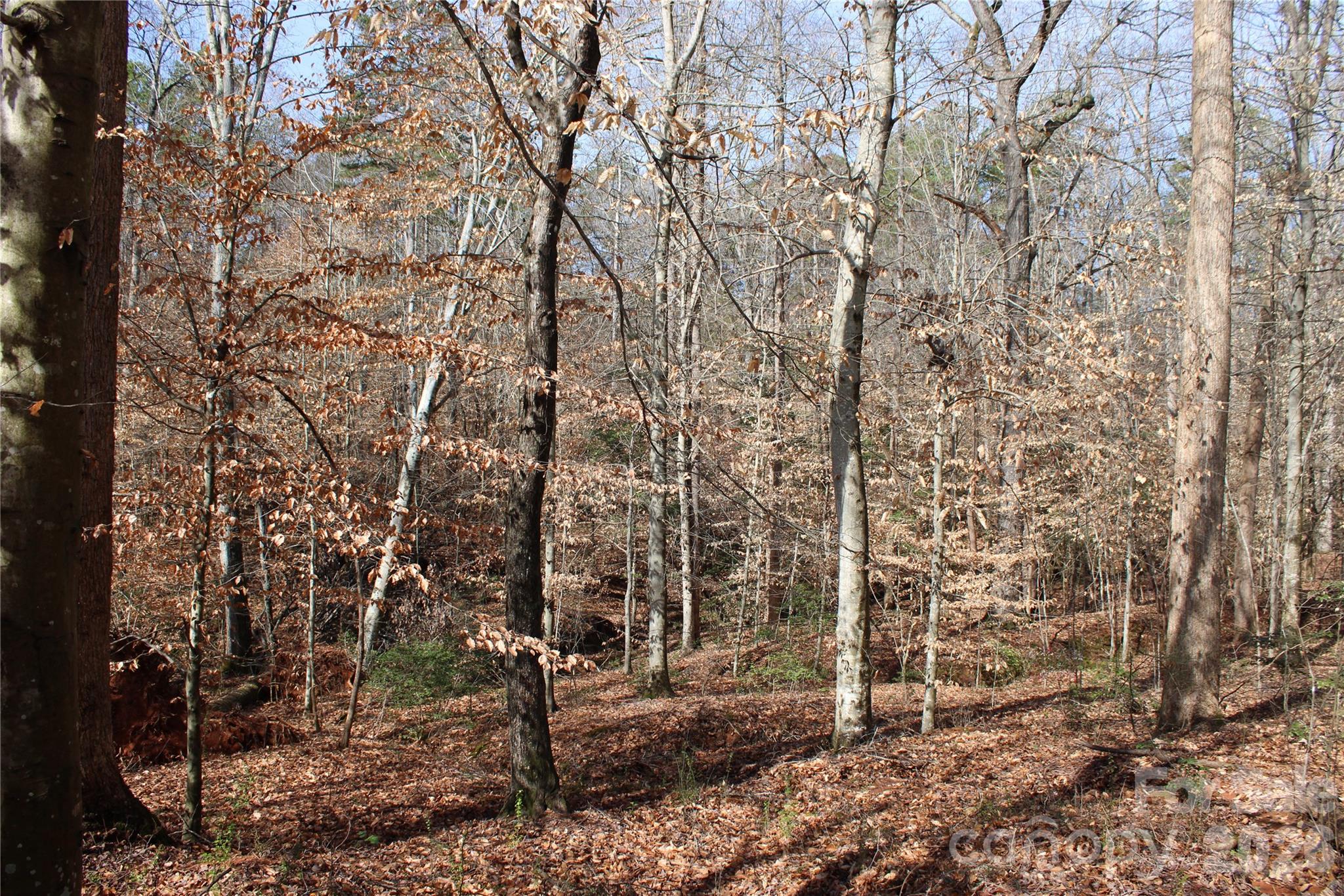 The Fields At Weatherwood - Land