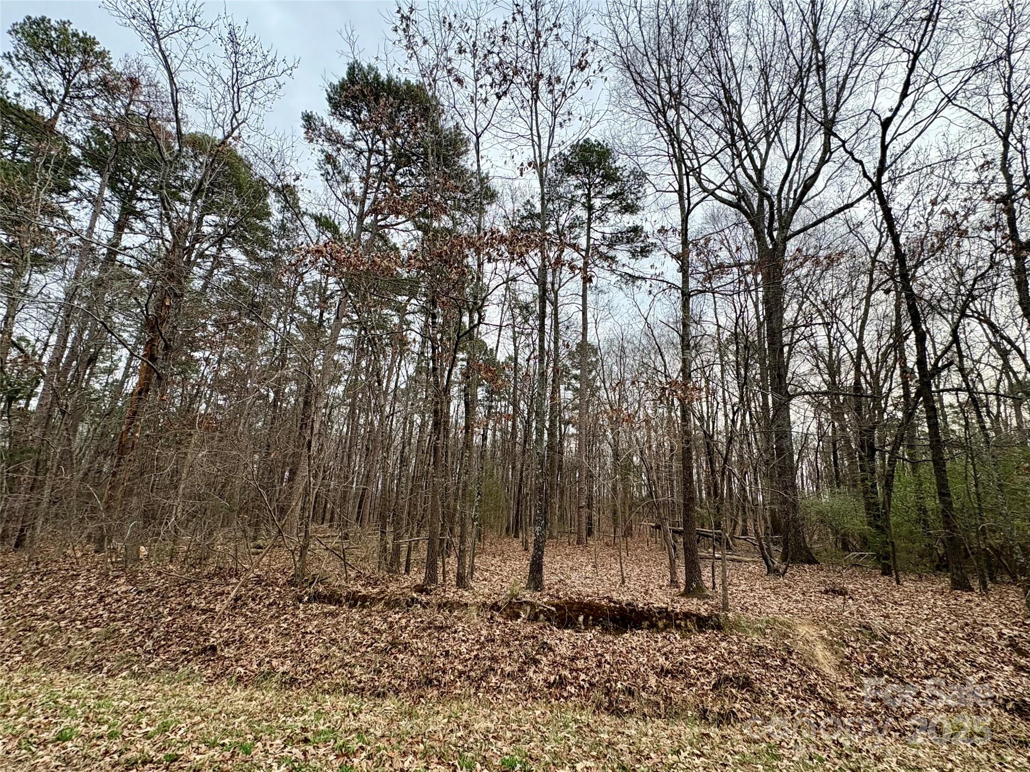 2734 L J Whitley Road