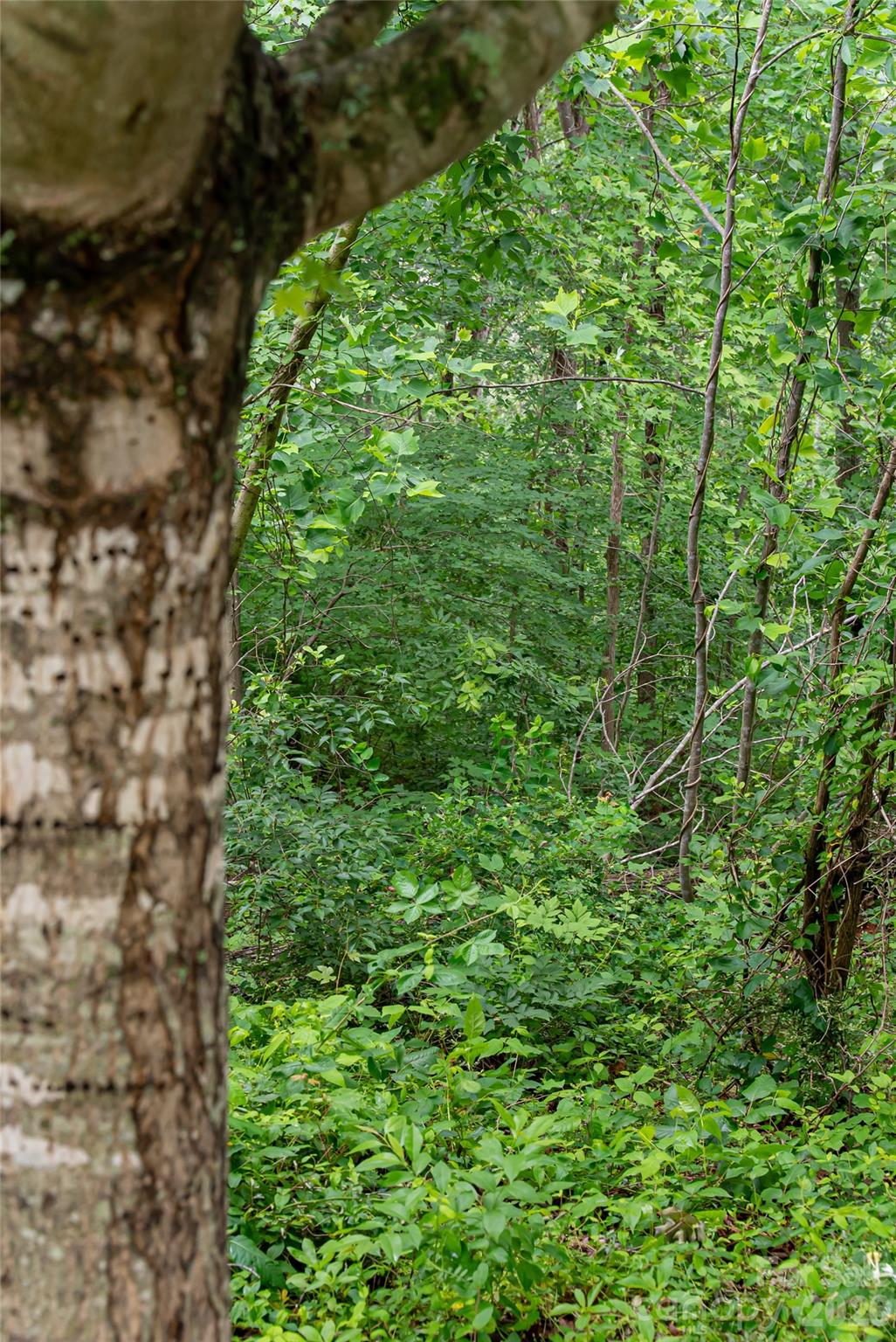 Beaucatcher Heights - Land