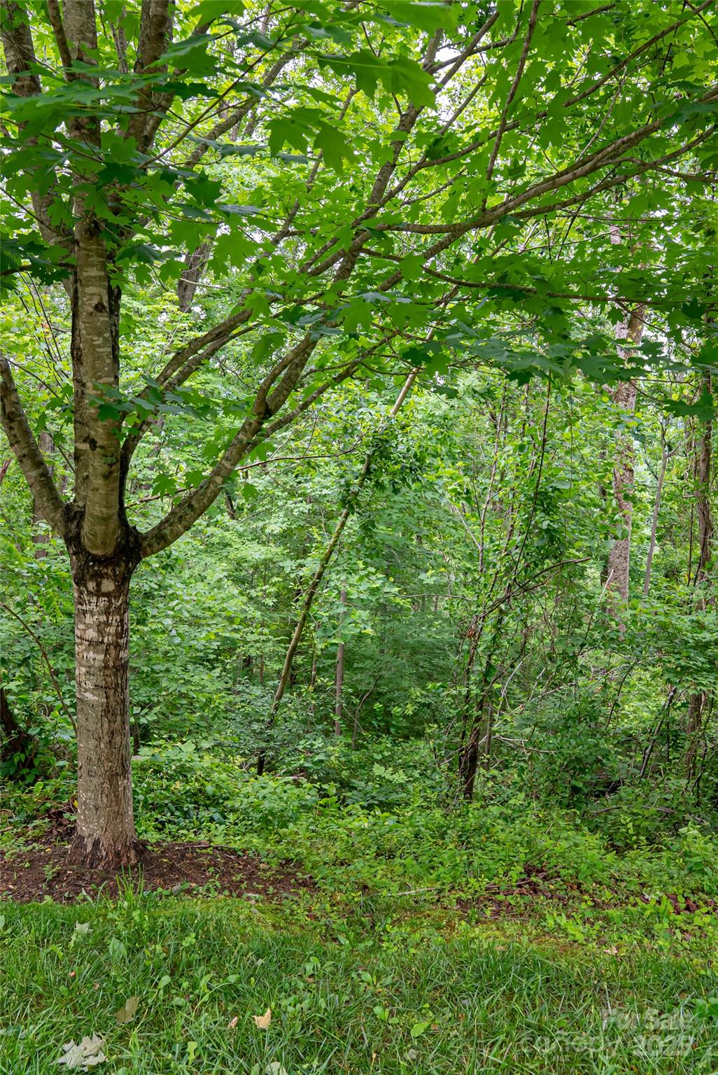 Beaucatcher Heights - Land