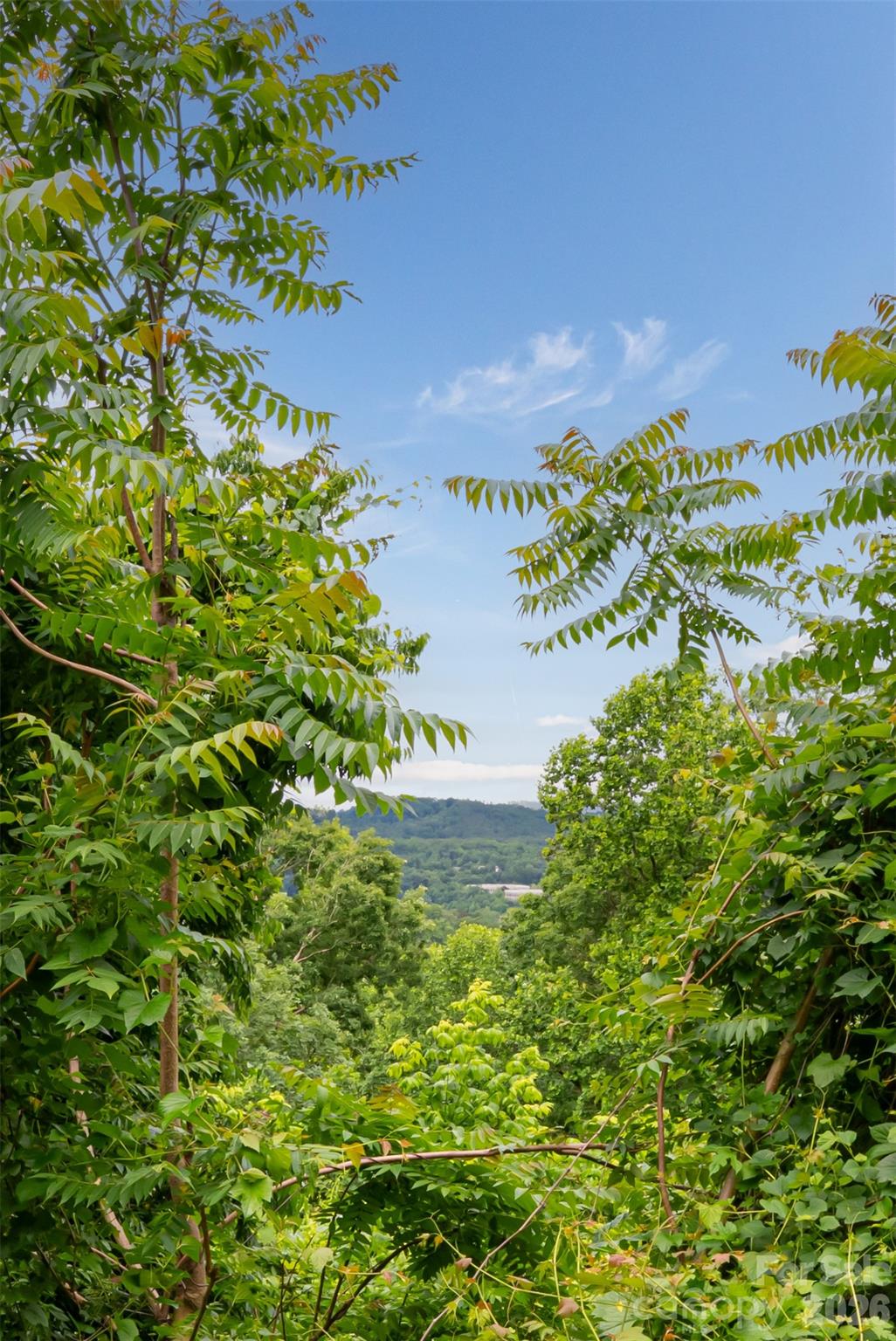 Beaucatcher Heights - Land