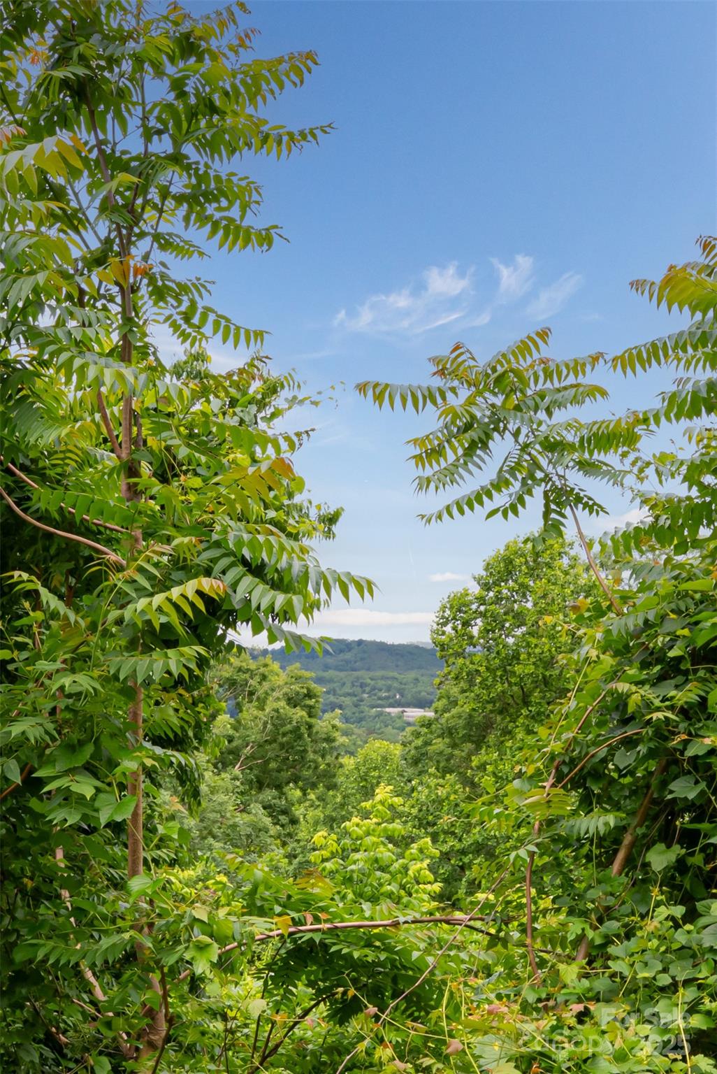 Beaucatcher Heights - Land