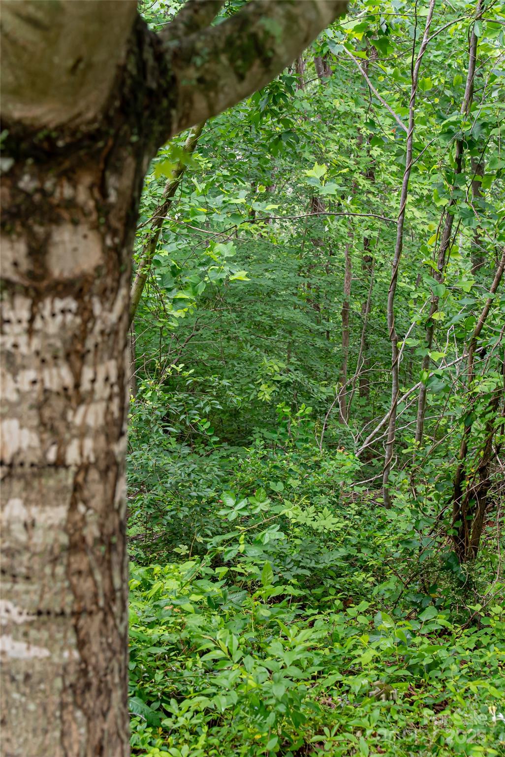 Beaucatcher Heights - Land