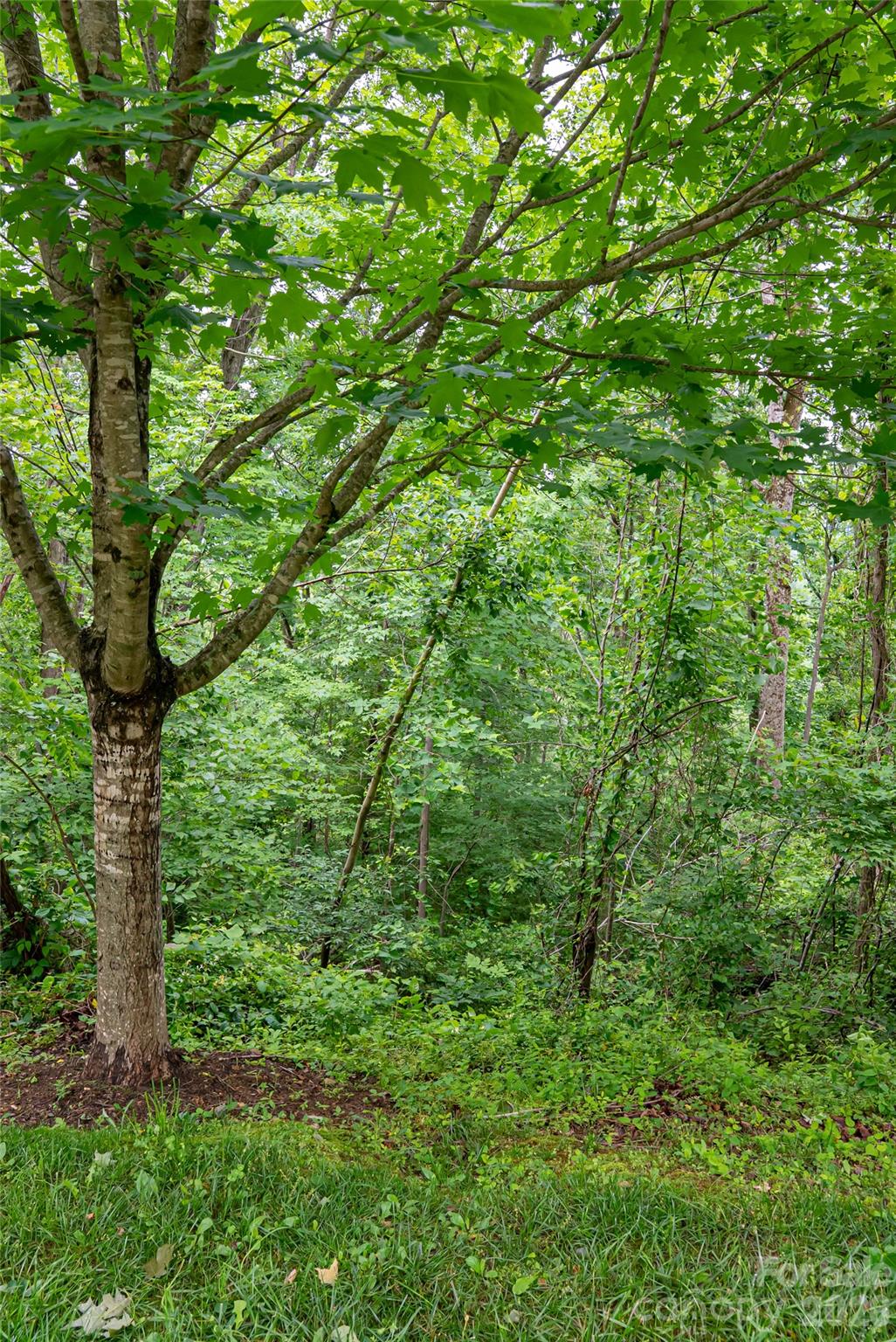 Beaucatcher Heights - Land