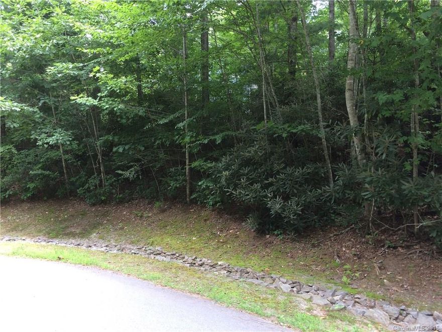 Not finding just the right house or location in Montreat? Build on this lot that adjoins a large green space, and fall asleep to the sound of nearby Flat Creek. Easy access and a very gentle slope over much of the building footprint. This lot lies in the corner of Maryland Place and Shenandoah. Semi-circular drive? Entrance front and back? Very close to wooded and paved walking paths that lead to the center of town. Well established neighborhood of many year-round homes.