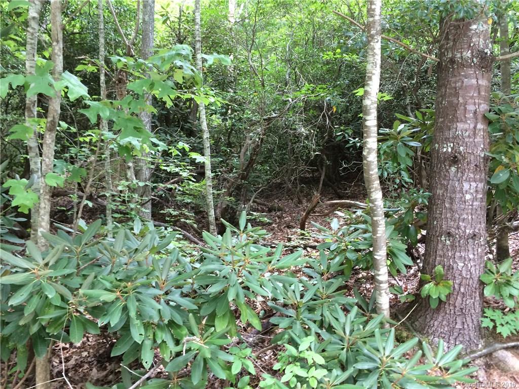 Mountain Retreat - Land