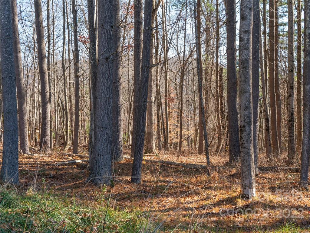 Biltmore Lake - Land