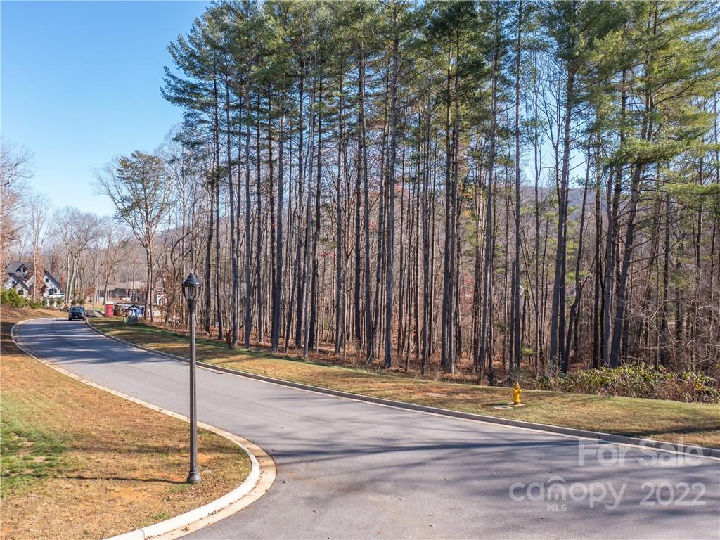 Biltmore Lake - Land