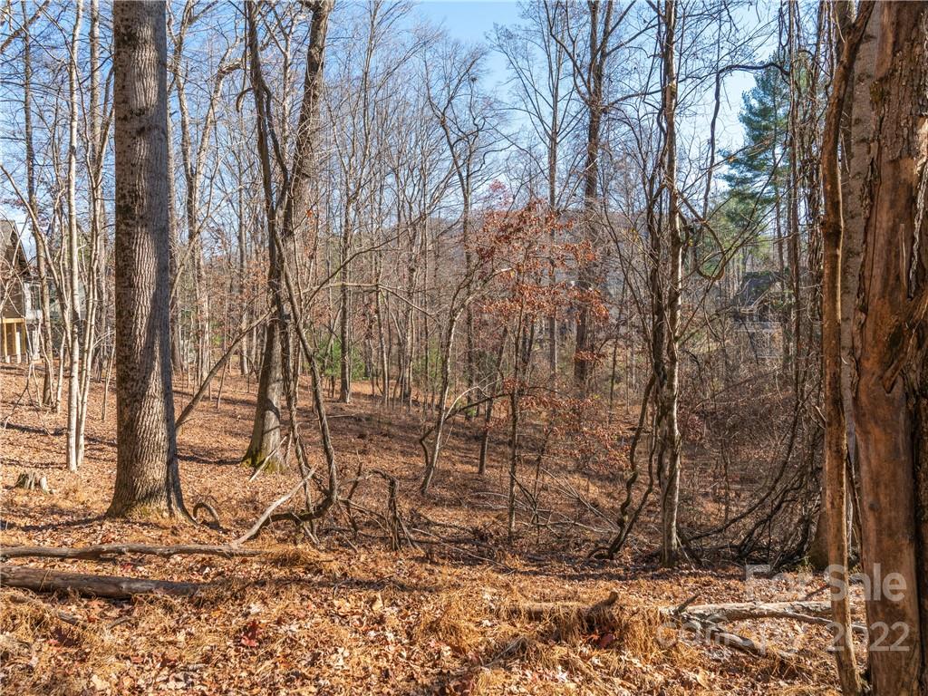 Biltmore Lake - Land