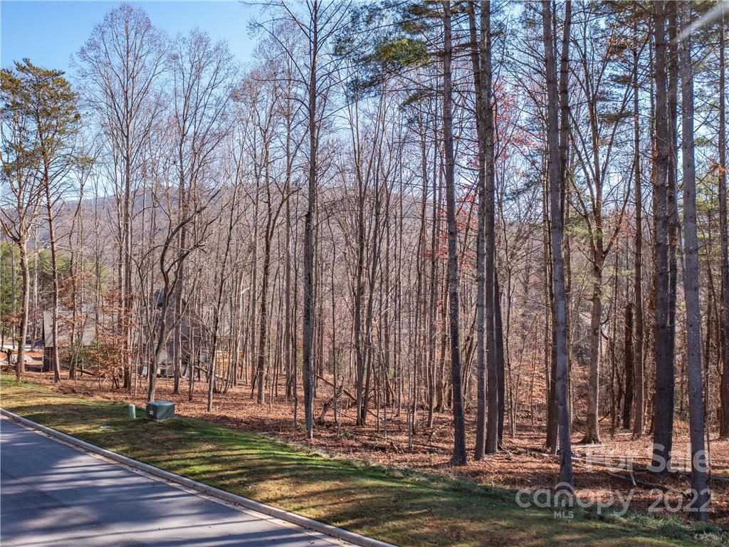 Biltmore Lake - Land