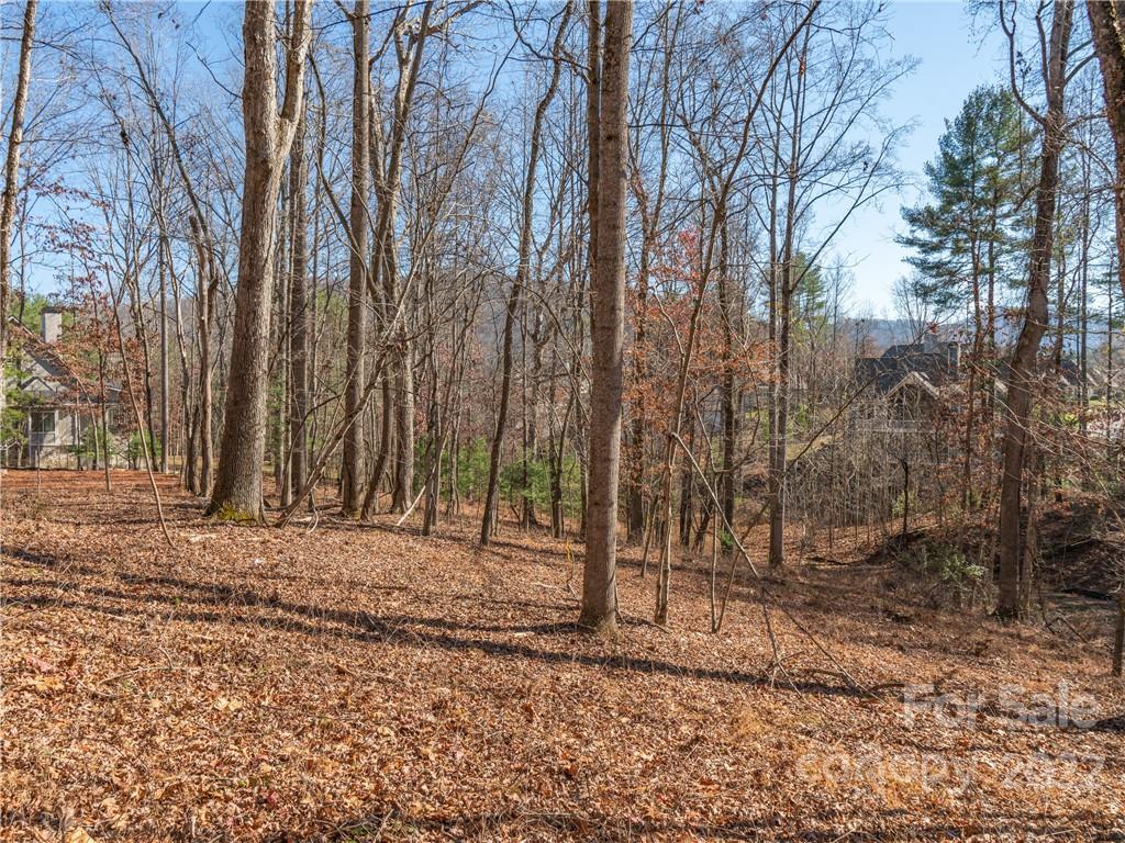 Biltmore Lake - Land