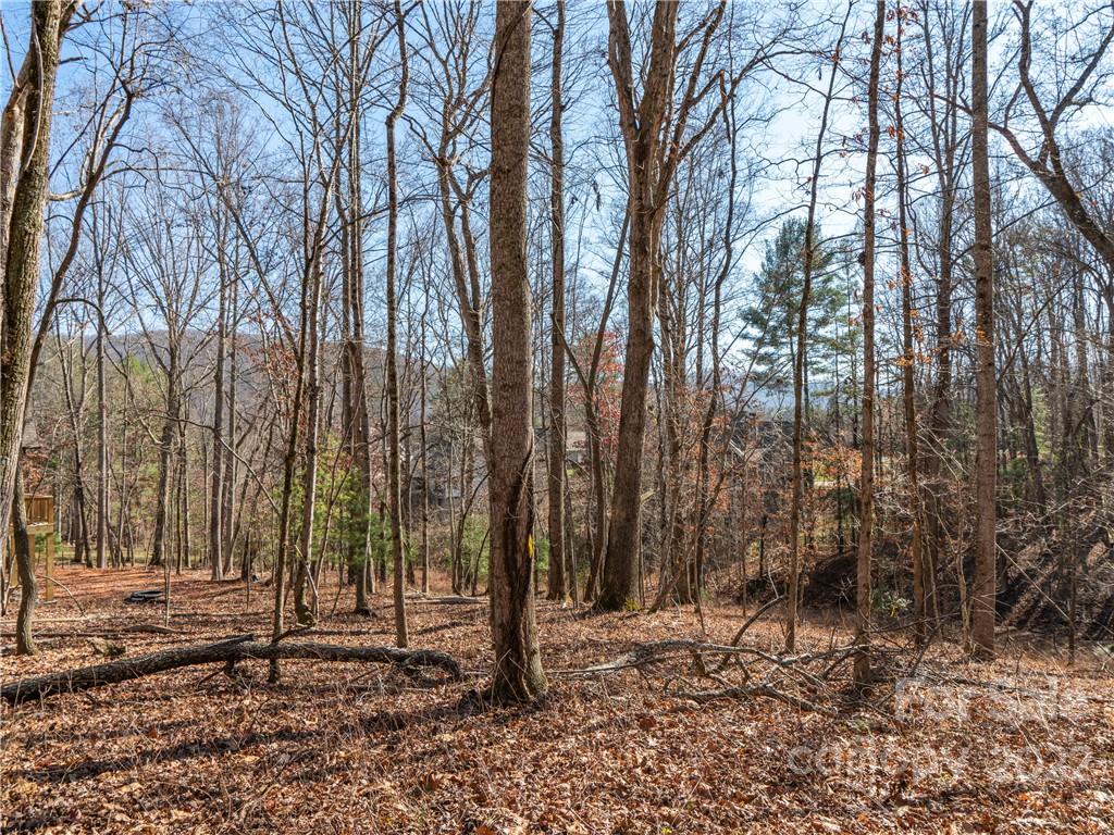 Biltmore Lake - Land