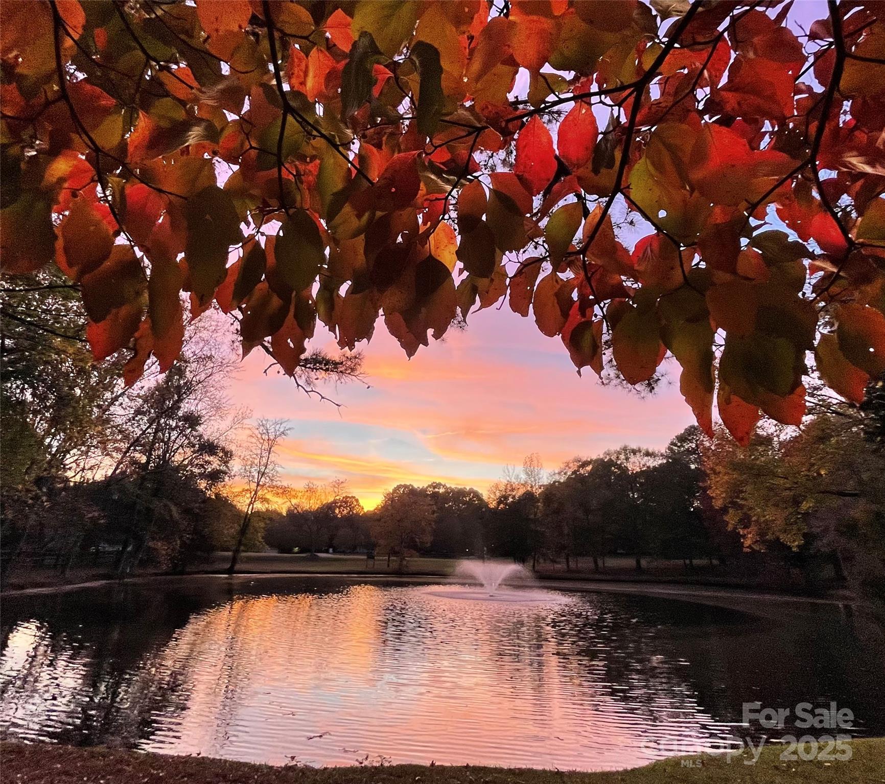 9199 Horseshoe Circle