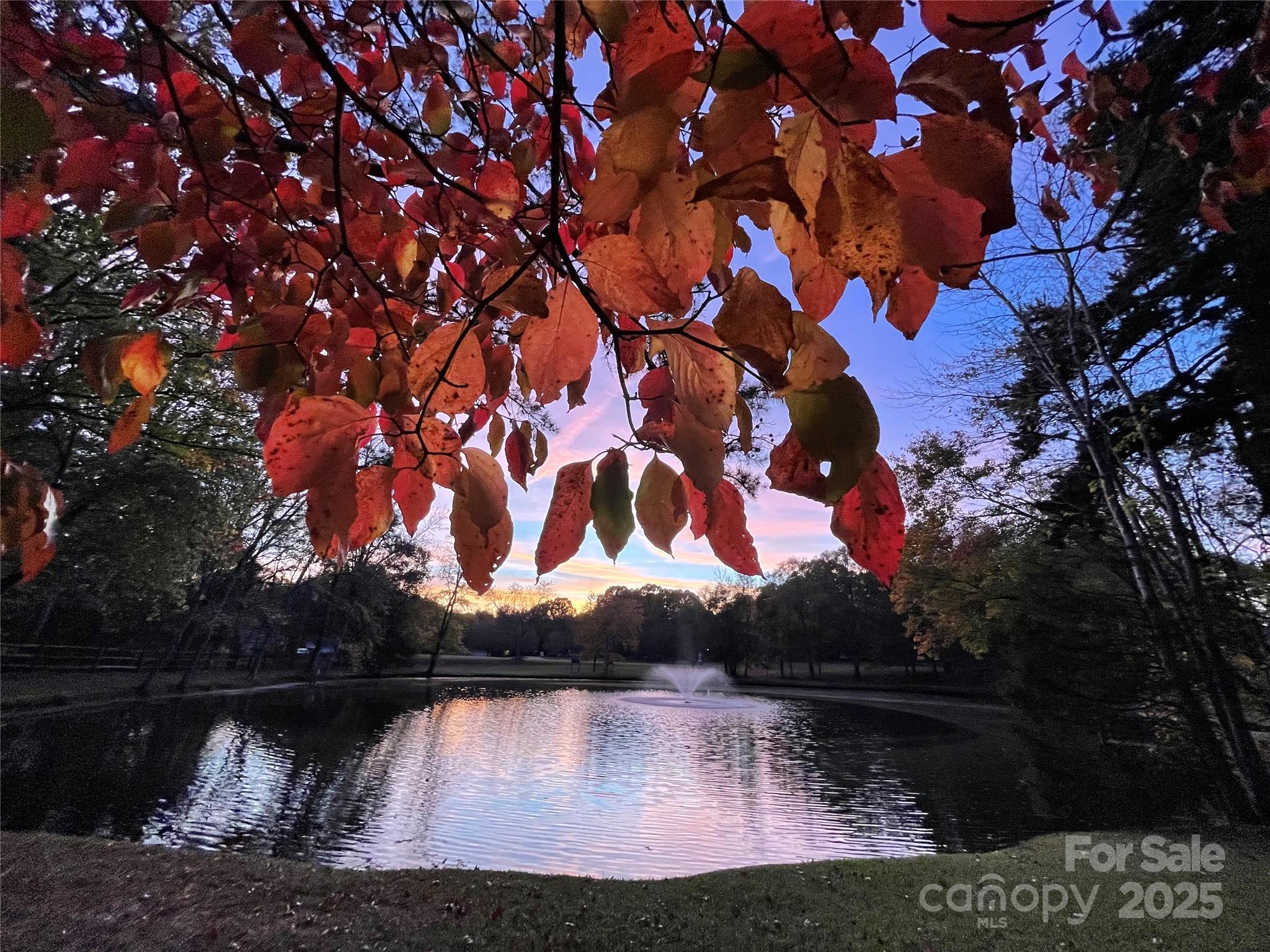 9199 Horseshoe Circle