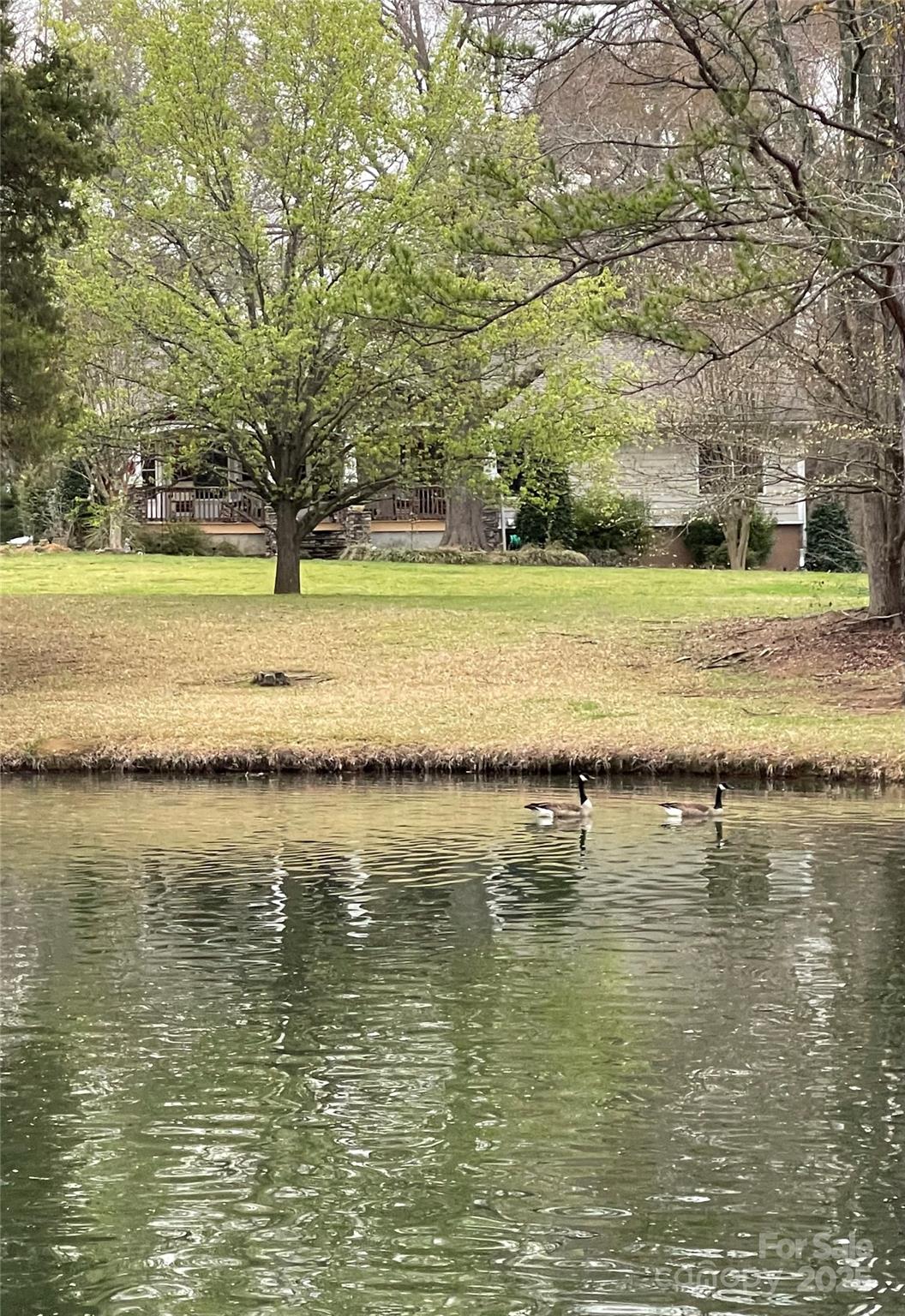 9199 Horseshoe Circle