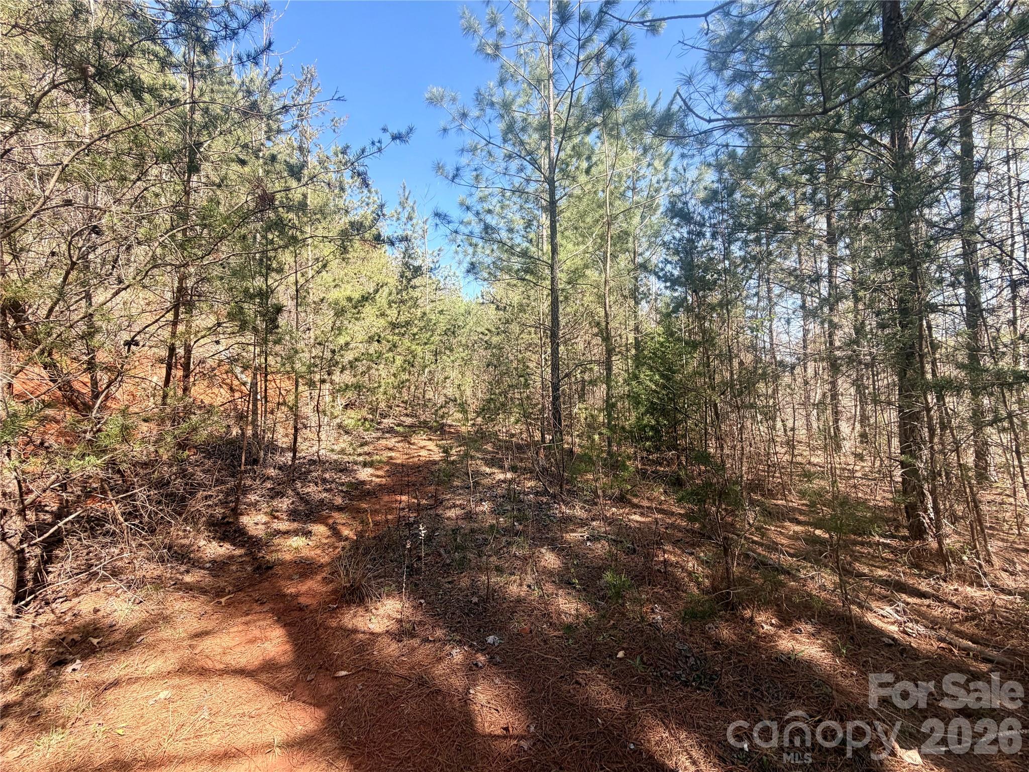 00 NC Highway 226 Highway