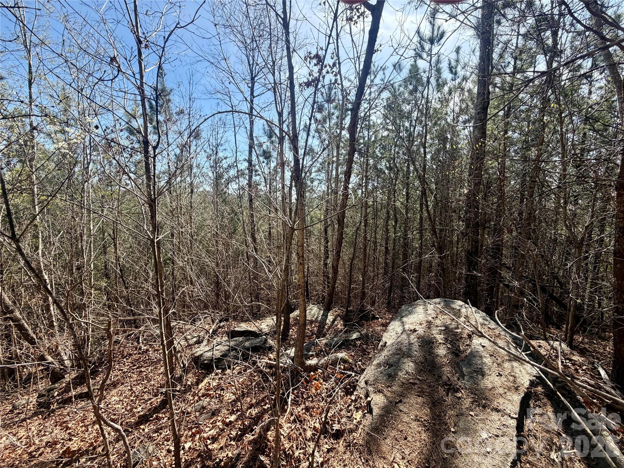 00 NC Highway 226 Highway