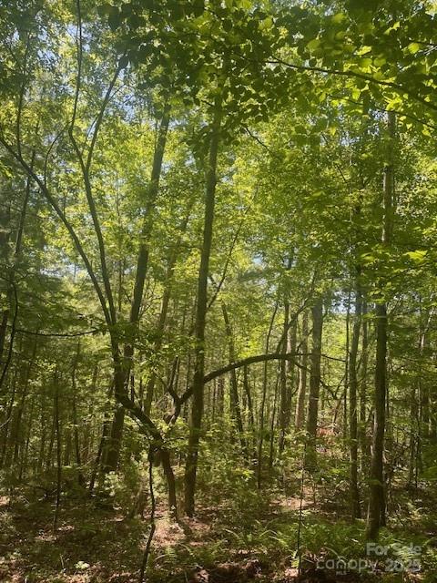 Lot 10 Copperhead Trail