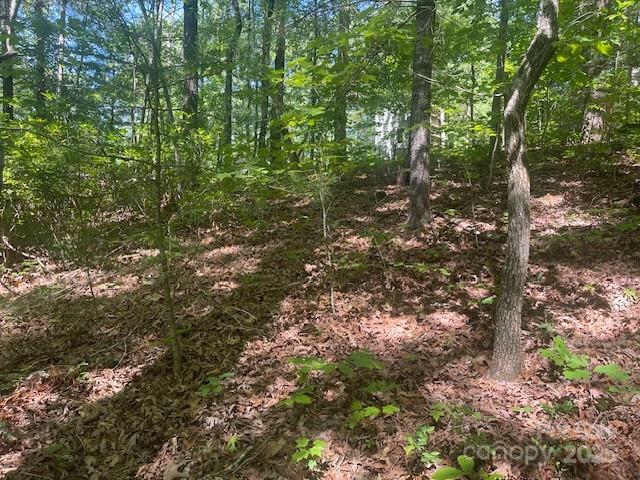 Lot 10 Copperhead Trail