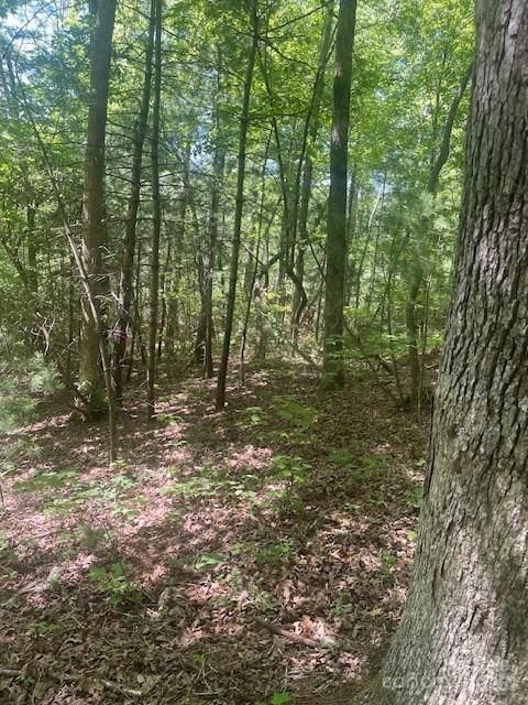 Lot 10 Copperhead Trail Hendersonville NC 28739