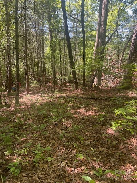 Lot 10 Copperhead Trail