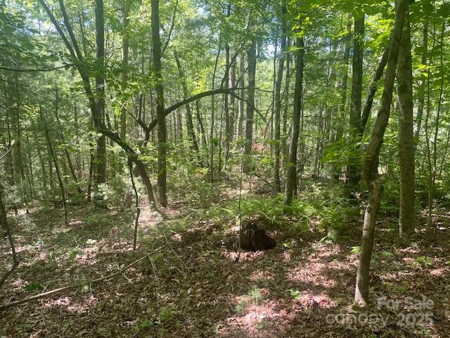 Lot 10 Copperhead Trail