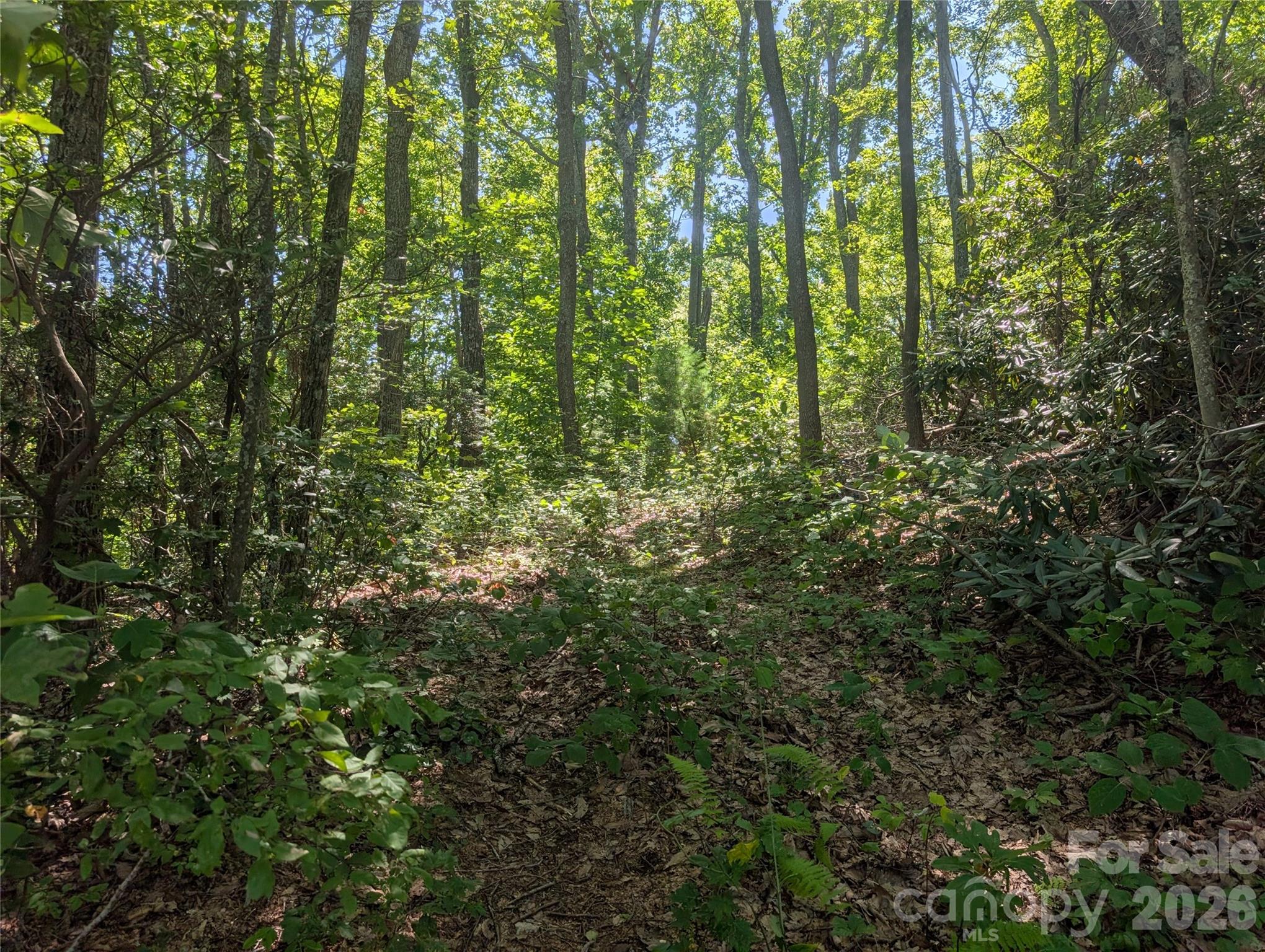 1824 Old Mill Road