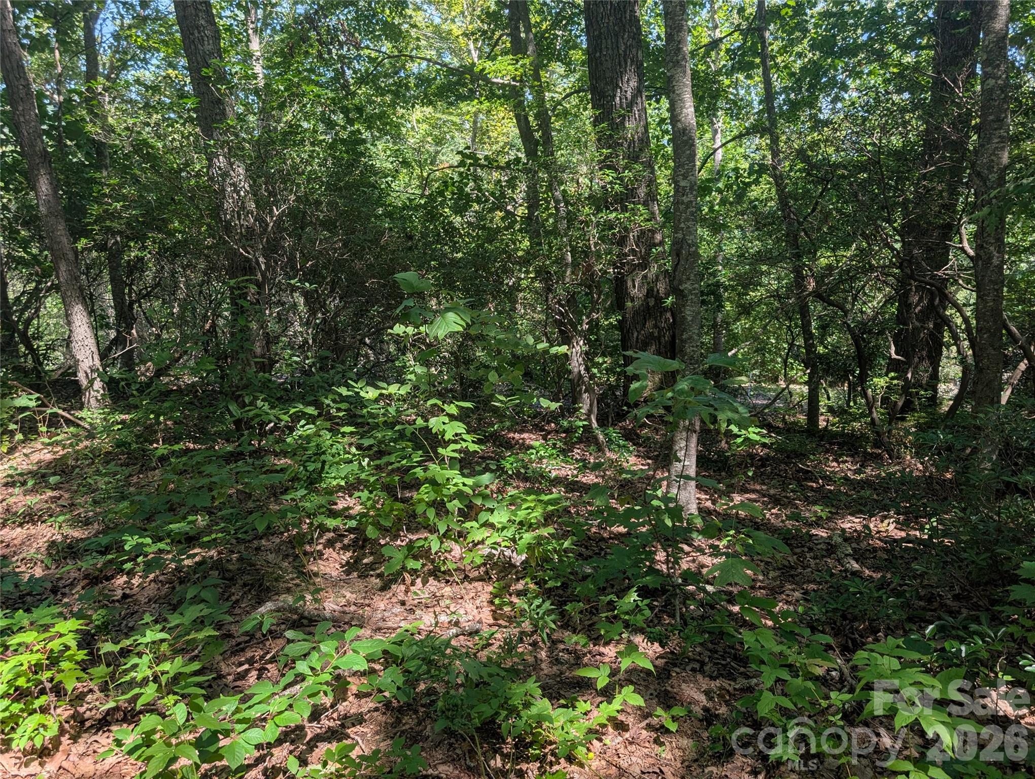 1824 Old Mill Road