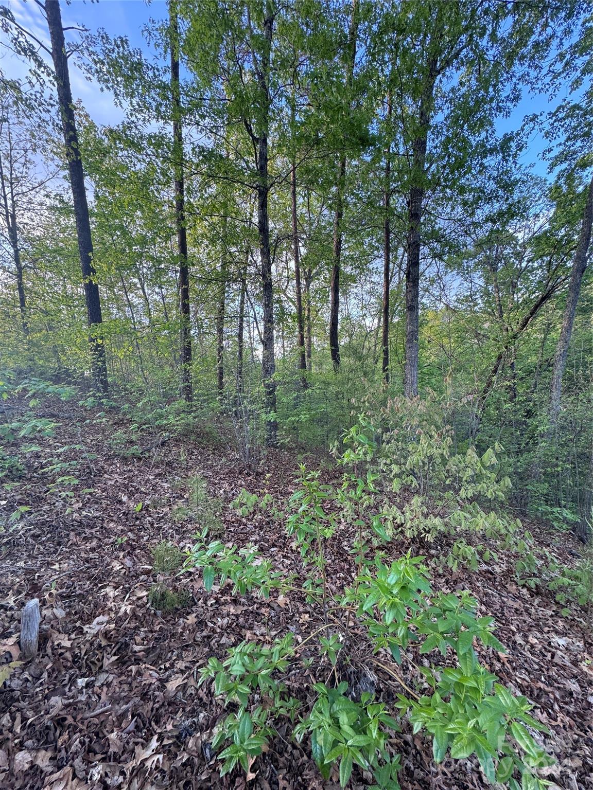 0 Willow Top Lane 315