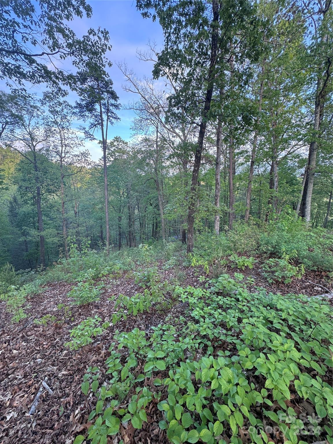 0 Willow Top Lane 315