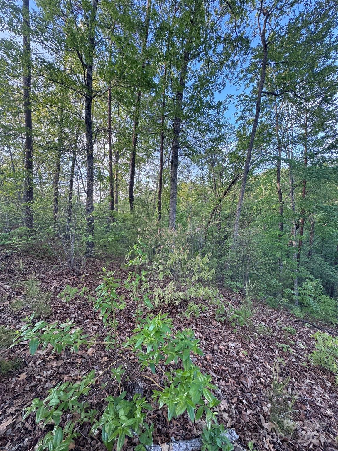 0 Willow Top Lane 315