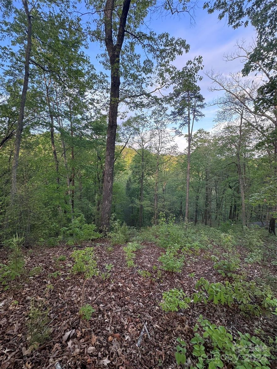 **Listed below tax value!** Vista at Bill's Mountain is a premier gated community just moments from all Lake Lure and Chimney Rock has to offer. Lot 315 offers a gently sloping build-site. Possibility of ingress and egress access points off of Willow Top Lane and an adjacent access road. The land is moderately wooded affording natural privacy for a true mountain top retreat. Vista at Bills Mountain has so much to offer including breathtaking views throughout the community, tennis courts, clubhouse with in-ground swimming pool and fitness center.