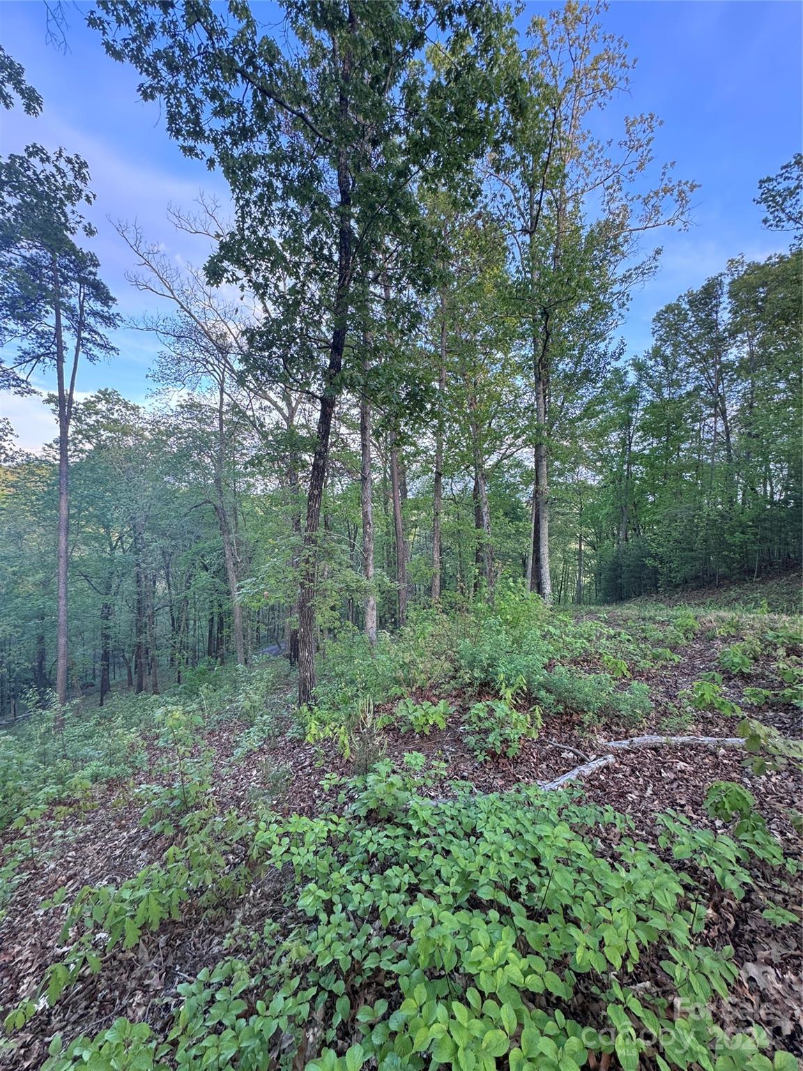 0 Willow Top Lane 315