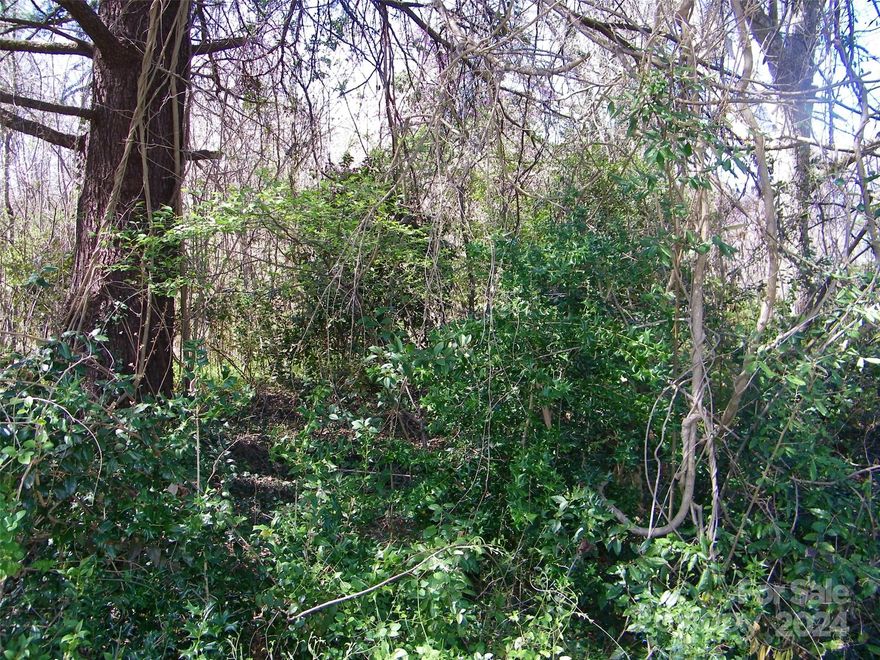 Check out this spacious lot to build your home on in convenient location in Salisbury. It's hard to find a lot this size anymore as it seems building lots are getting smaller and smaller. Close to shopping, , and the VA, it's an excellent area to build your home enjoy the good life!!!!