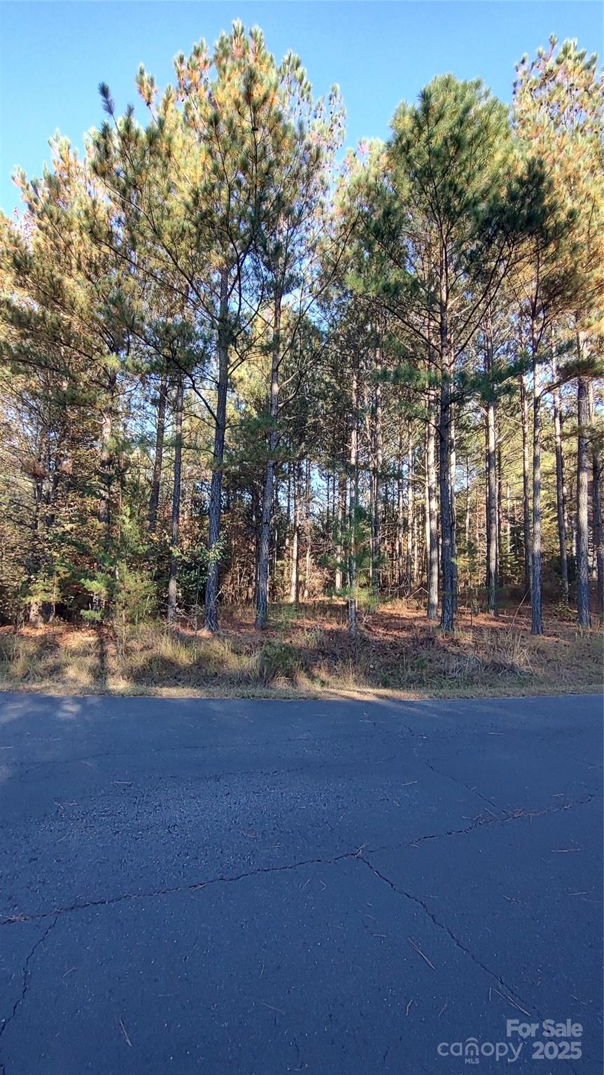 Broad River Highlands - Land